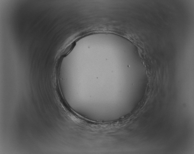 X0000067520005200604211829