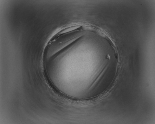 X0000067520008200604211829