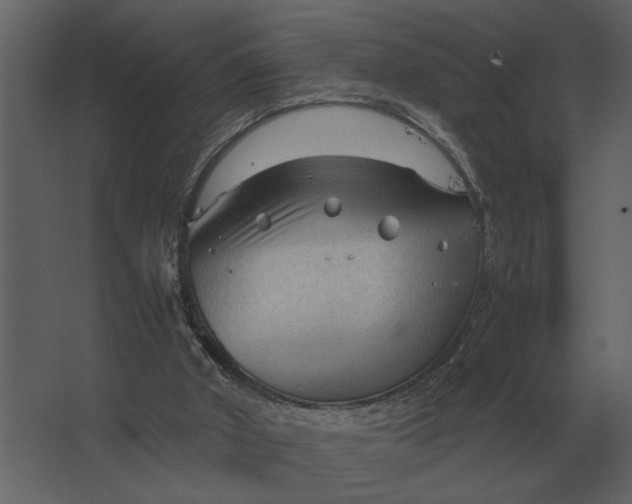 X0000067520010200604211829