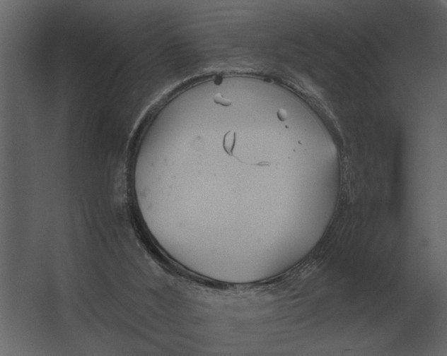 X0000067520012200604211829