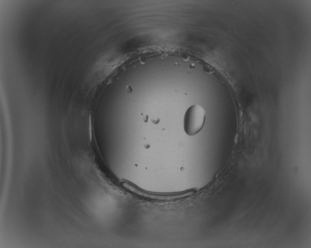 X0000067520013200604211829