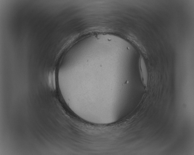 X0000067520014200604211829