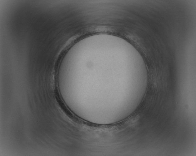 X0000067520016200604211829