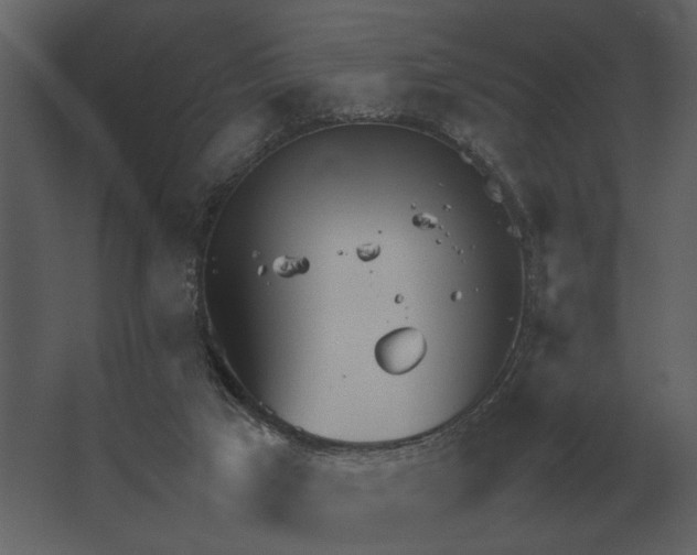 X0000067520017200604211829