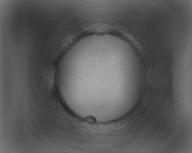 X0000067520018200604211829