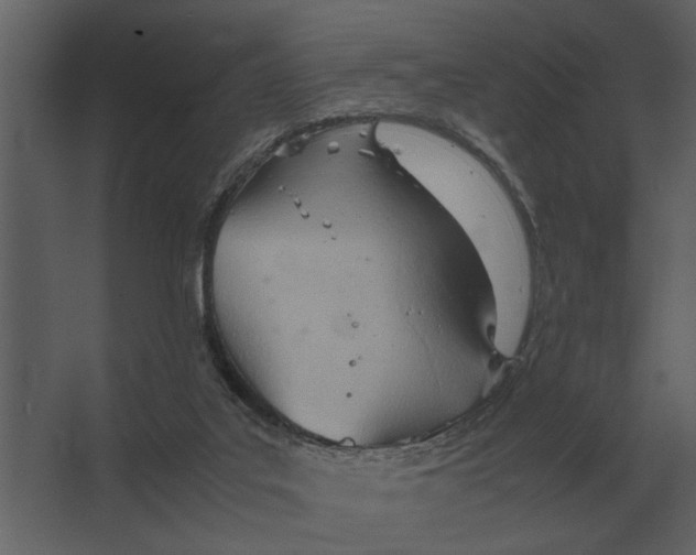 X0000067520019200604211829