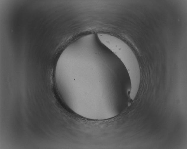 X0000067520023200604211829