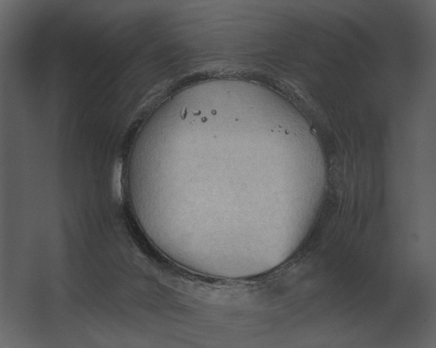 X0000067520024200604211829