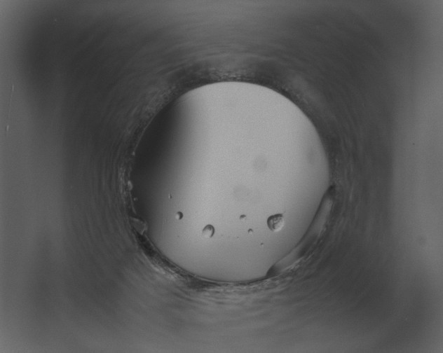 X0000067520025200604211829