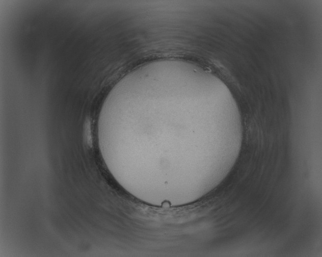 X0000067520026200604211828