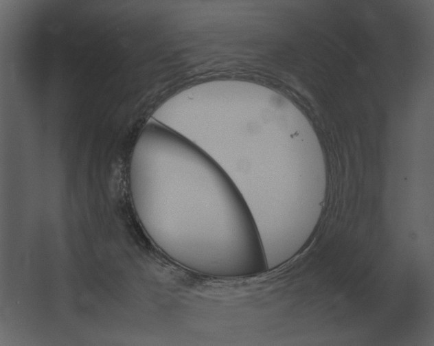 X0000067520029200604211828