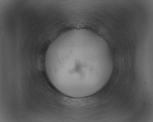 X0000067520030200604211828