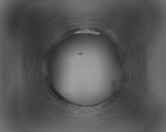 X0000067520031200604211828