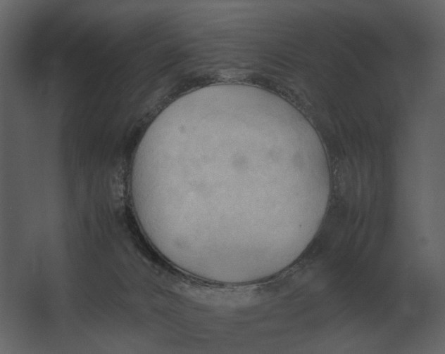 X0000067520032200604211828