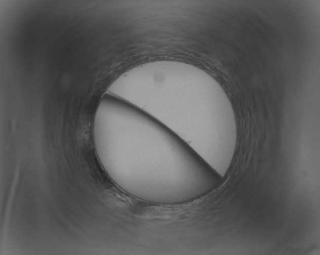 X0000067520033200604211828