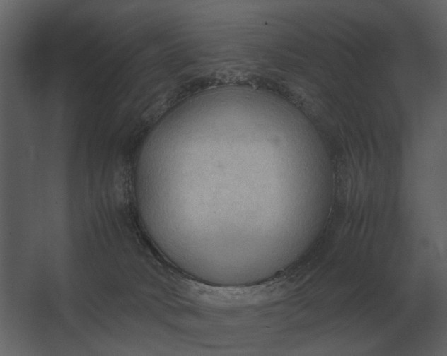 X0000067520034200604211828