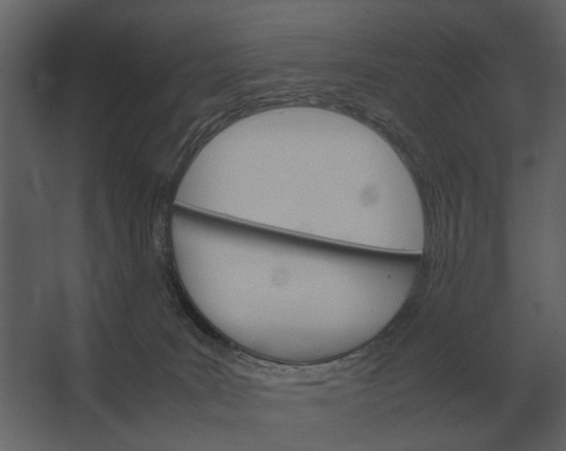 X0000067520035200604211828