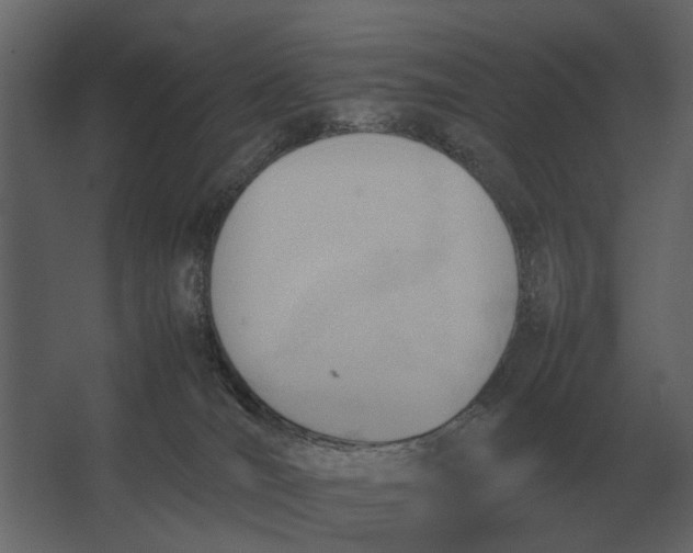 X0000067520036200604211828