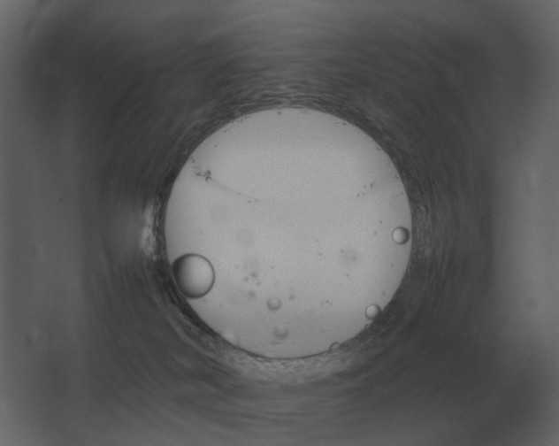 X0000067520038200604211828