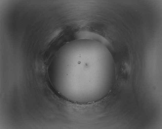 X0000067520039200604211828