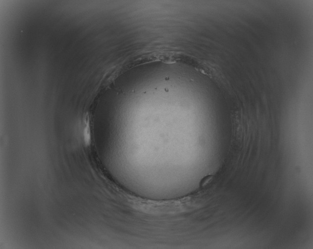 X0000067520042200604211828