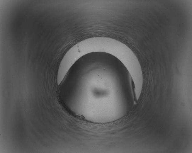 X0000067520043200604211828