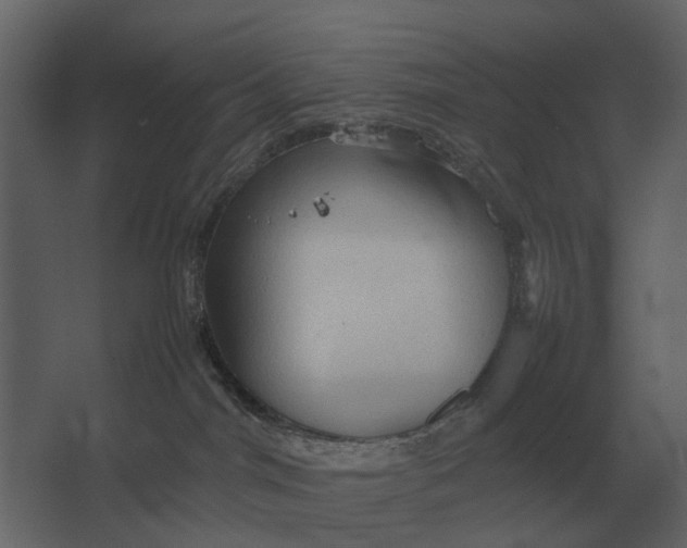 X0000067520044200604211828