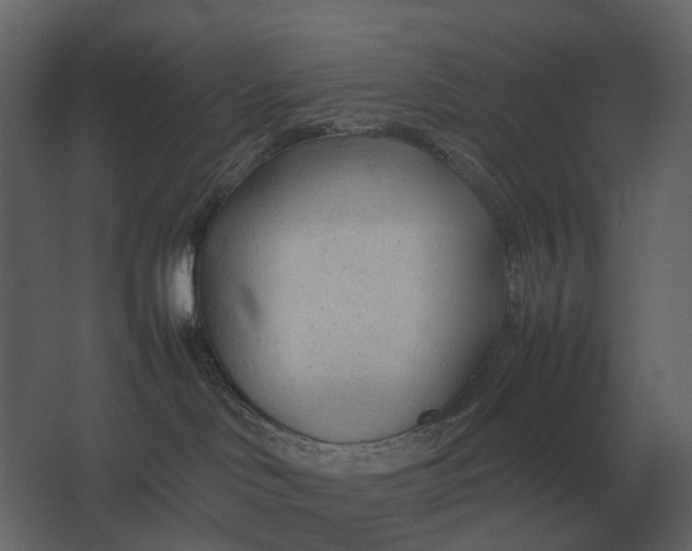 X0000067520046200604211828