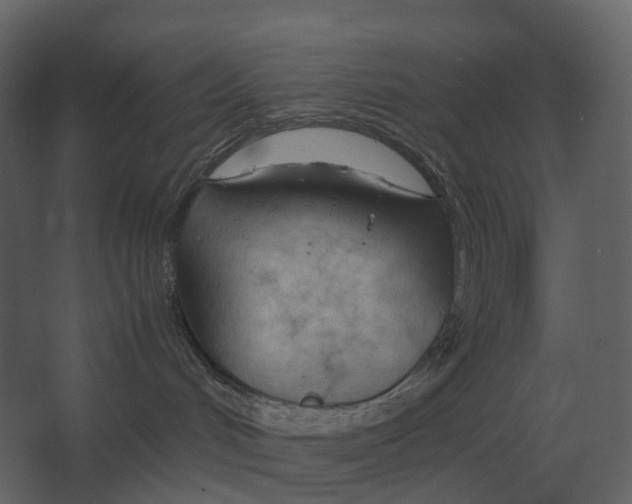 X0000067520048200604211828