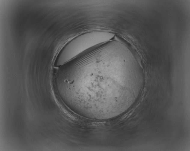 X0000067520049200604211827