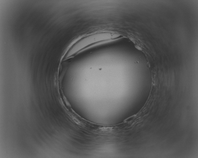 X0000067520052200604211827