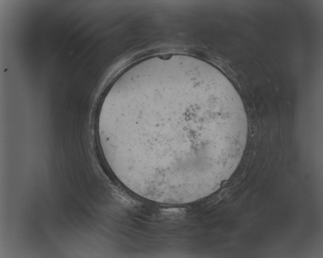 X0000067520053200604211827