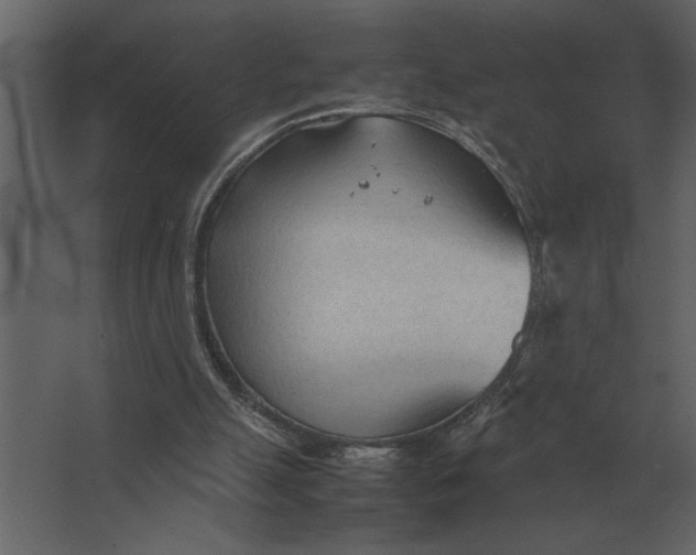 X0000067520055200604211827