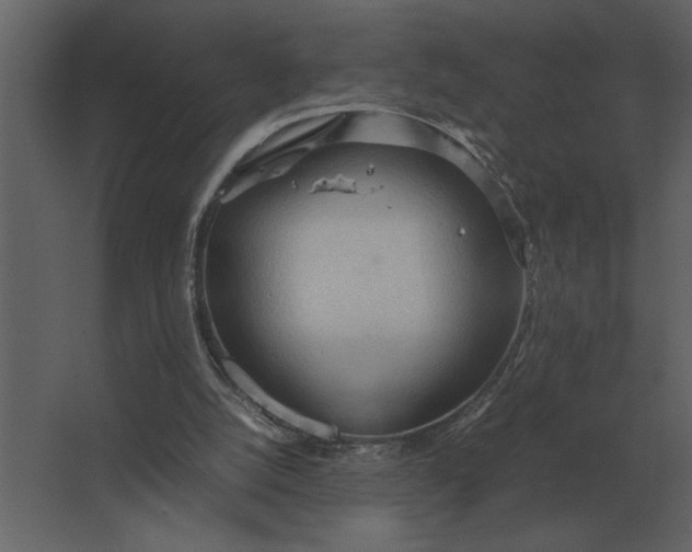 X0000067520056200604211827