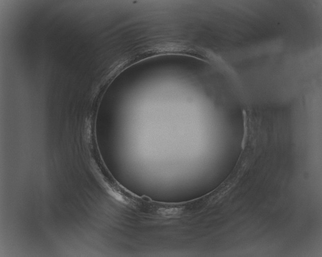 X0000067520057200604211827