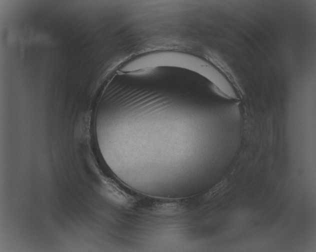 X0000067520058200604211827