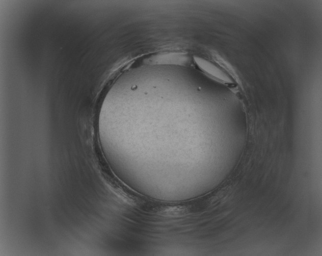 X0000067520059200604211827