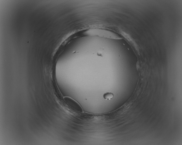 X0000067520060200604211827