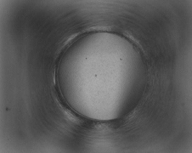 X0000067520062200604211828