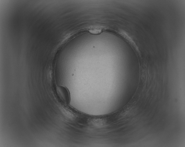 X0000067520063200604211828