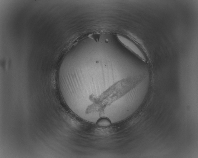 X0000067520065200604211828