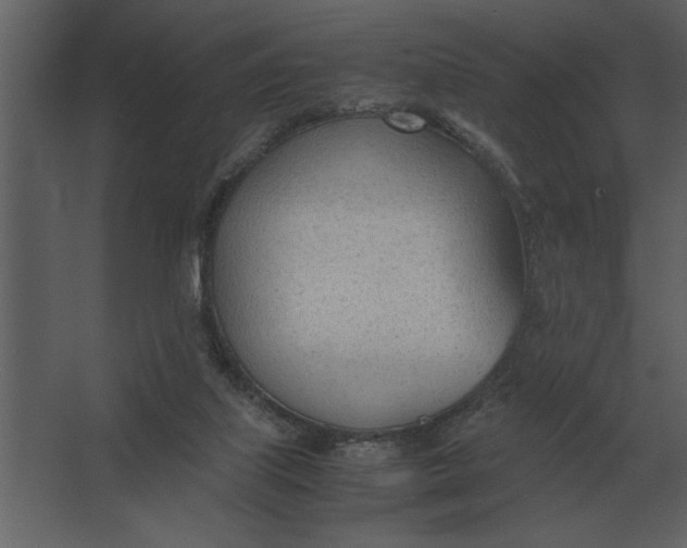 X0000067520067200604211828