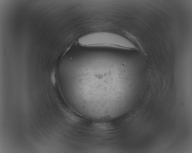 X0000067520069200604211828