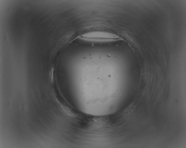 X0000067520070200604211828