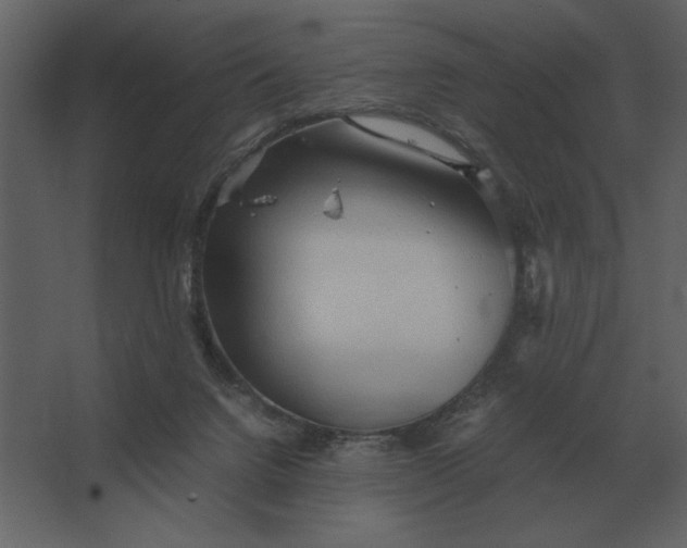 X0000067520072200604211828