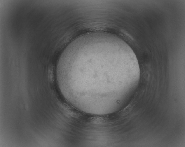 X0000067520074200604211828