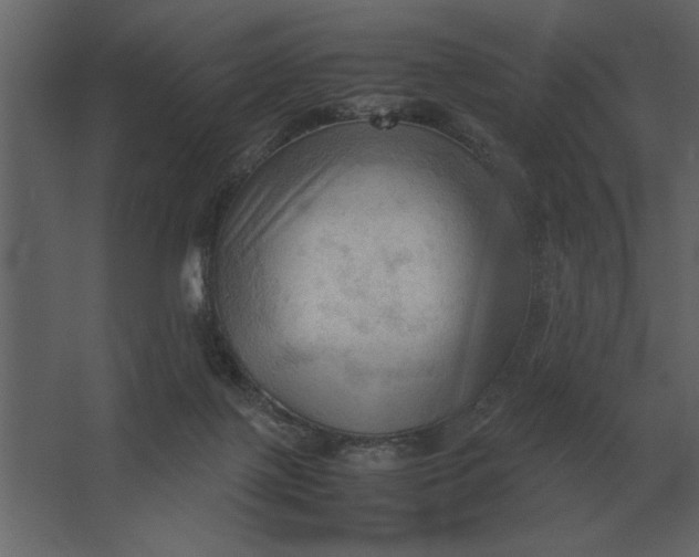 X0000067520075200604211828