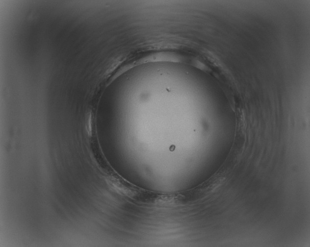 X0000067520076200604211828