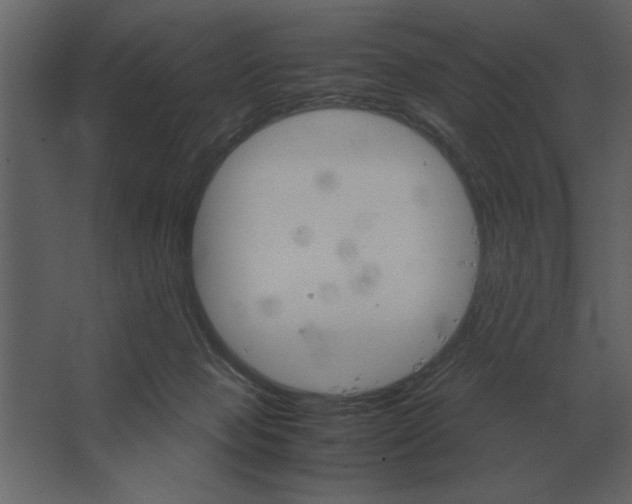 X0000067520077200604211828