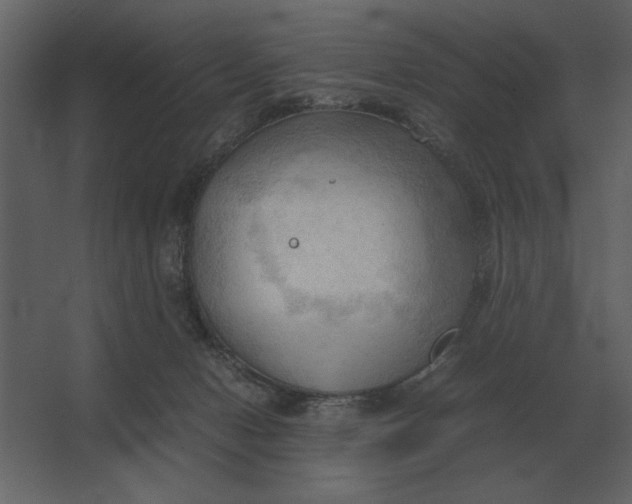 X0000067520078200604211828